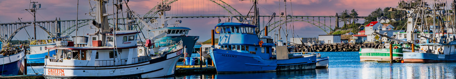 Newport, Oregon Vacation Rentals: Beach Houses, Cottages, Condos, & More