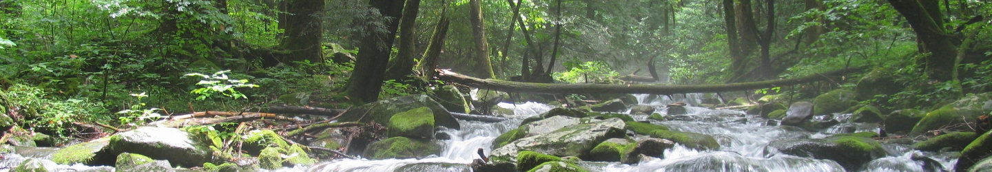 Cosby, Tennessee Vacation Rentals, Cabins & Houses for Rent