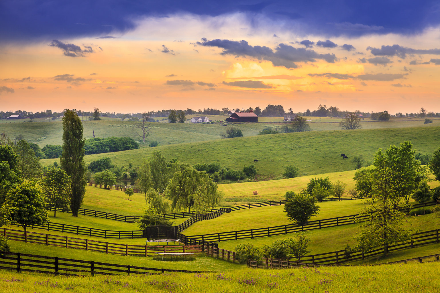 Kentucky Vacation Rentals: Cabins, Apartments & Houses