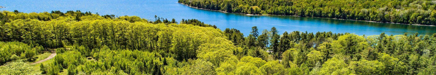Surry, Maine Vacation Rentals: Houses, Cabins, & More