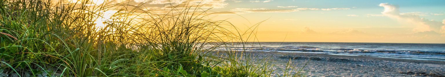 Arcadian Shores, South Carolina Vacation Rentals: Condos, Beach Houses, & Waterfront Stays