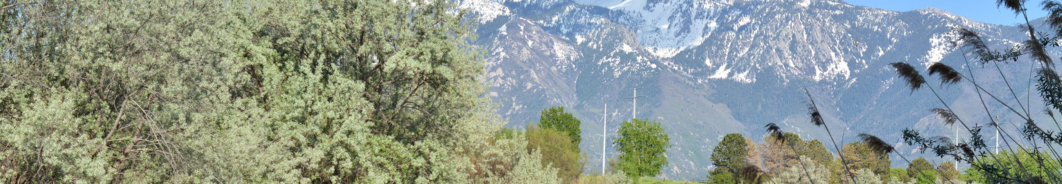 West Jordan, Utah Vacation Rentals: Houses, Condos, Apartments, & More