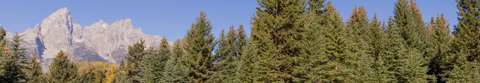 Moose, Wyoming Vacation Rentals: House Rentals & More
