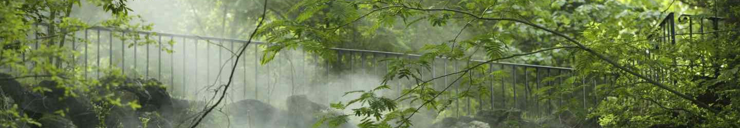 Hot Springs, Arkansas Vacation Rentals: Cabins, Lake Cottages, Homes, & Condos