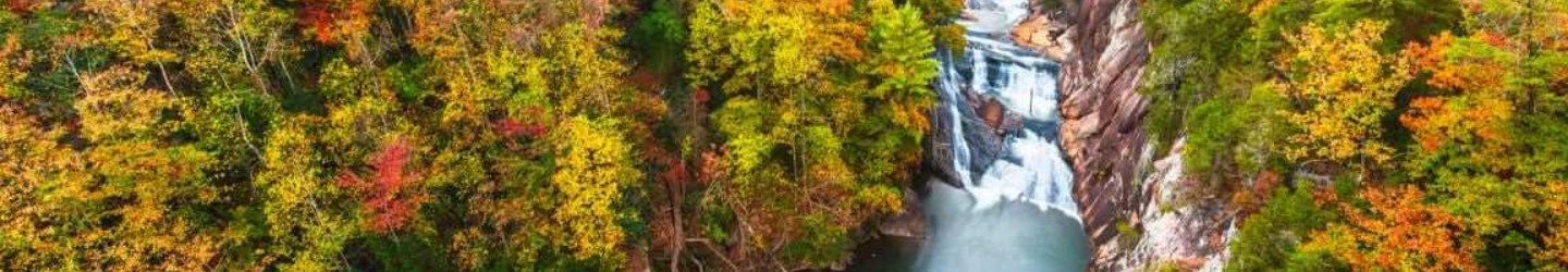 Georgia Vacation Rentals: Cabins, Apartments, & Getaway Homes