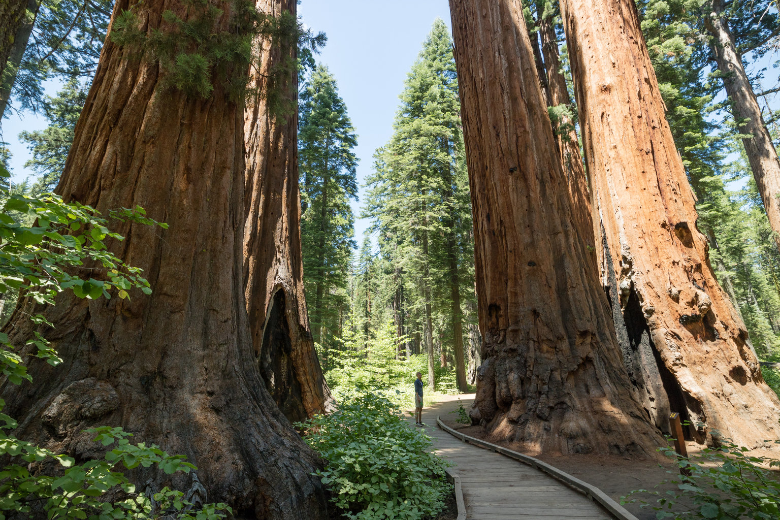 Arnold, California Vacation Rentals: Cabins, Homes, & Condos