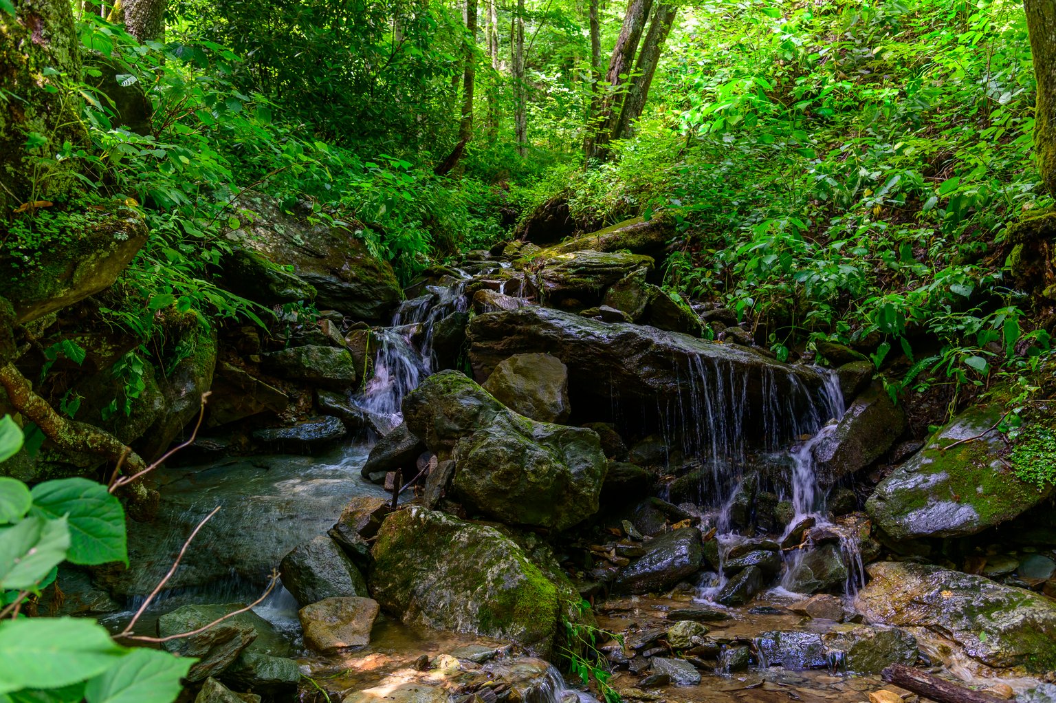 Seven Devils, North Carolina Vacation Rentals: Cabins & Luxury Homes