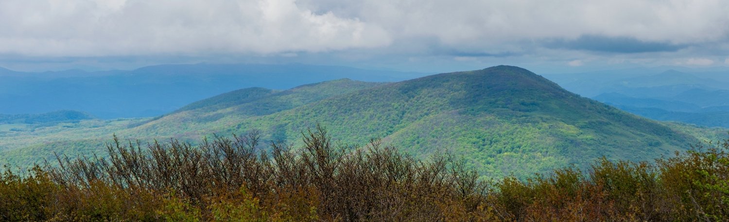 Todd, North Carolina Vacation Rentals: Houses & Luxury Homes